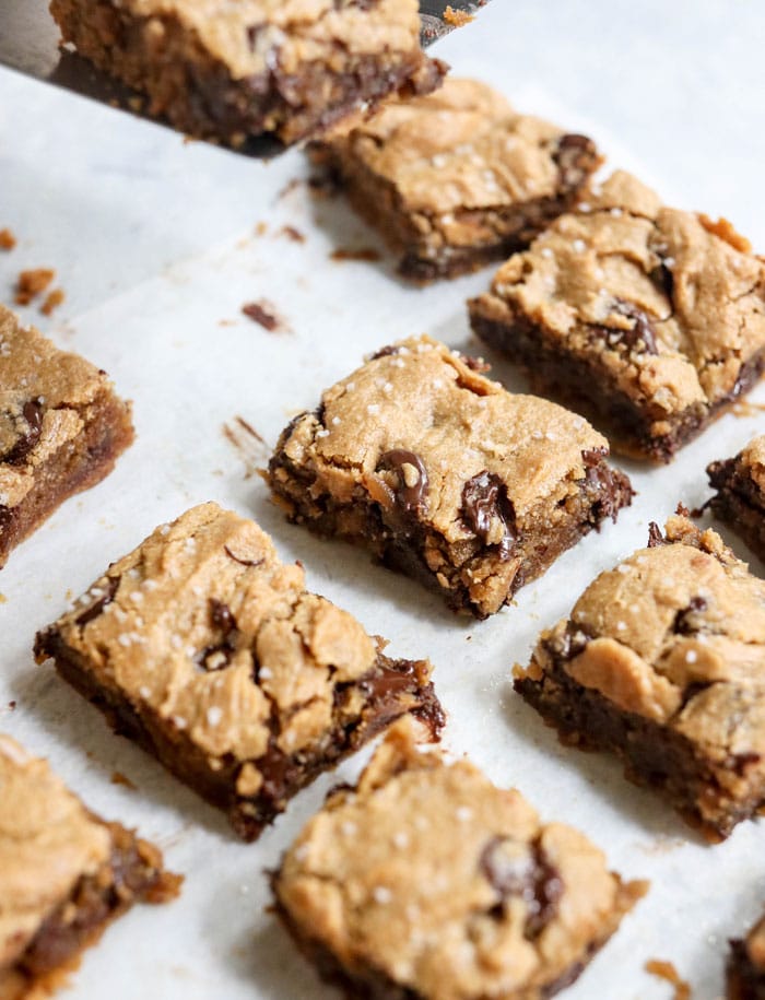 Deep-Dish Cookie Bliss: Simple Flourless Peanut Butter Blondies Recipe